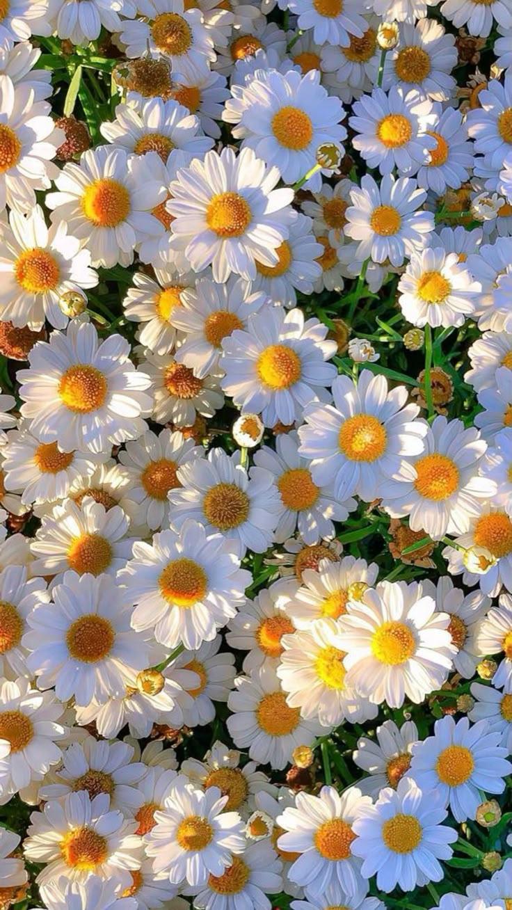 Corporate floral consultation example